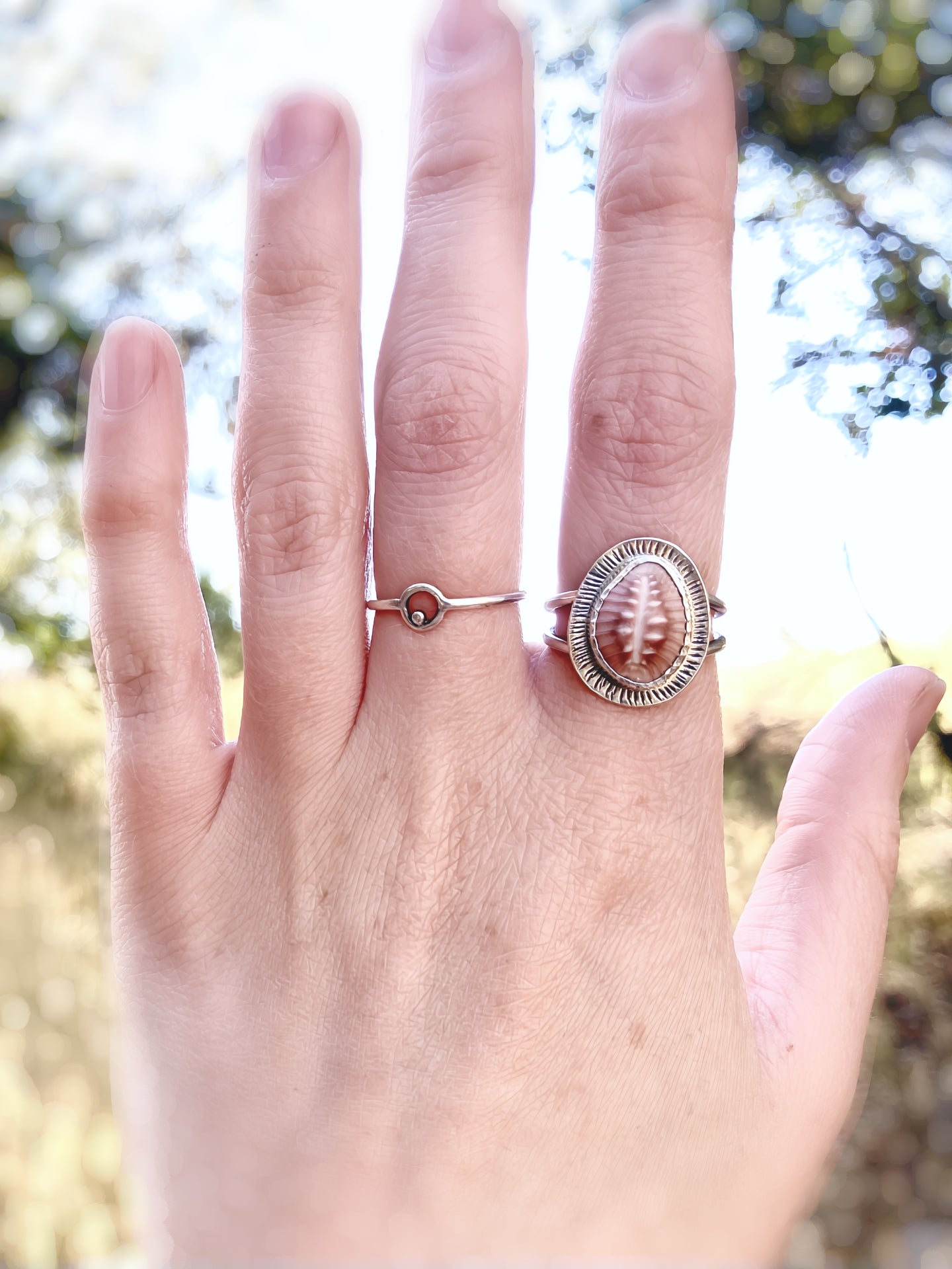 Cowrie Shell Ring in Sterling Silver, Size 7.5