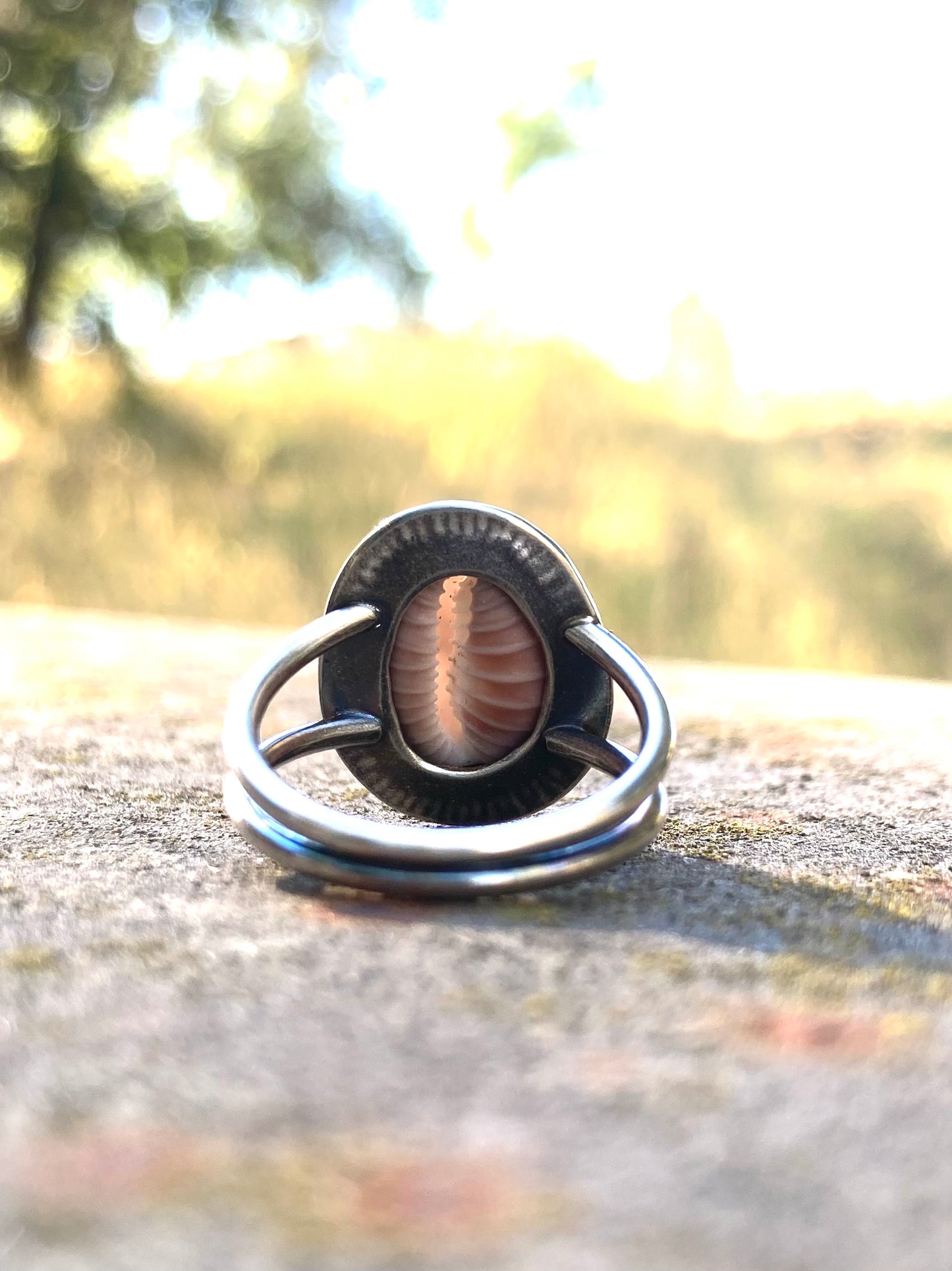 Cowrie Shell Ring in Sterling Silver, Size 7.5