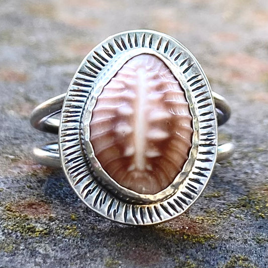 Cowrie Shell Ring in Sterling Silver, Size 7.5