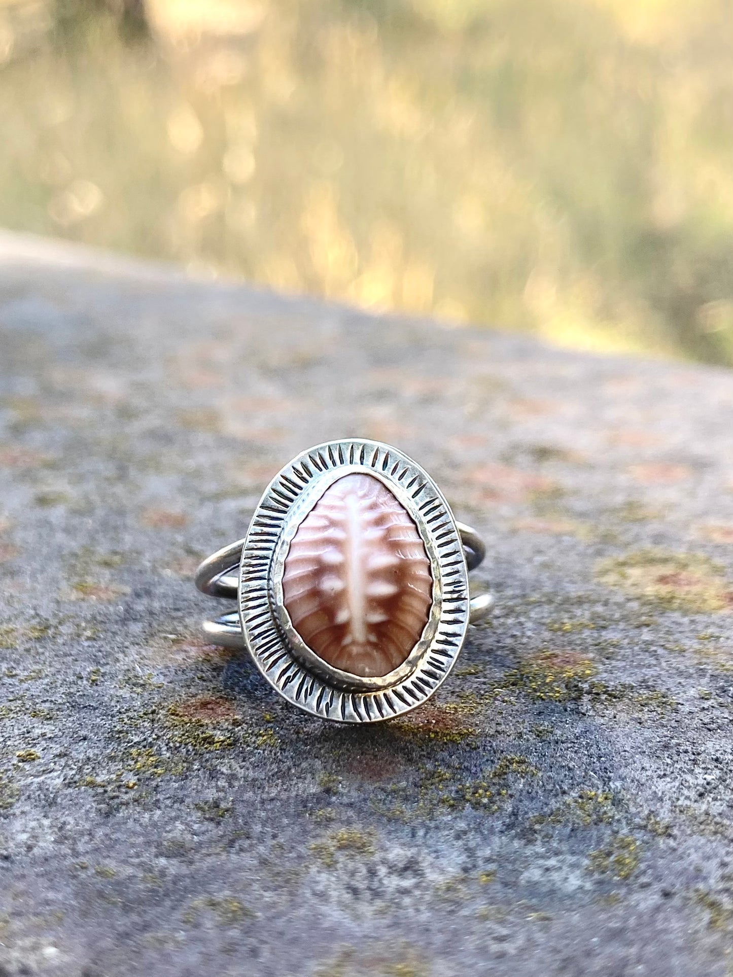 Cowrie Shell Ring in Sterling Silver, Size 7.5